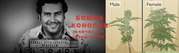 ALPHA-PVP Медвежьегорск